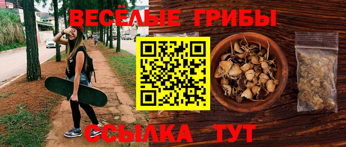 Гудермес  Галлюциногенные грибы прущие грибы  Галлюциногенные грибы мухоморы  Вход с VPN 